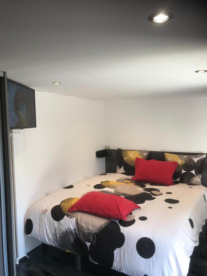 Apartament Majolaine Stade Meyzieu Zewnętrze zdjęcie